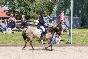Bild 395 - Pony Akademie Turnier